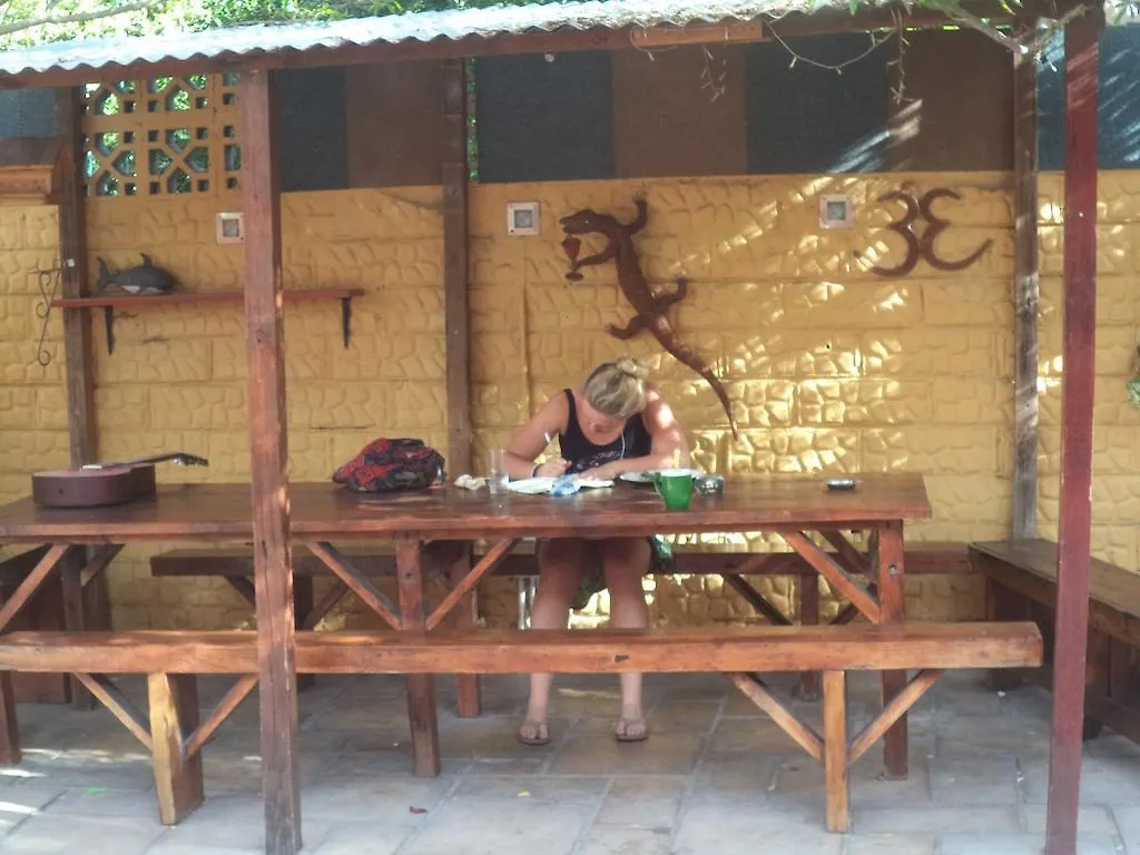 33 South Backpackers Ostello Città del Capo Sudafrica